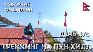 [11] Треккинг на Пун Хилл, день 4 | Tadapani - Ghandruk
