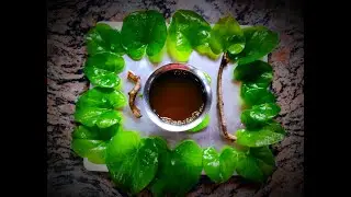 Amrutha balli kashaya | ಅಮೃತ ಬಳ್ಳಿ ಕಷಾಯ  | Immunity boosting drink | Sangamaramar kee bel kashay |