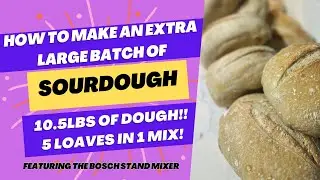 Effortlessly Mix 5 Sourdough Loaves (Over 10.5 lbs!!) in the Bosch Universal Plus Stand Mixer!