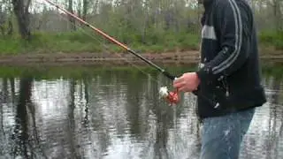 Scott Turner, Shad Fishing, Nine Mile River