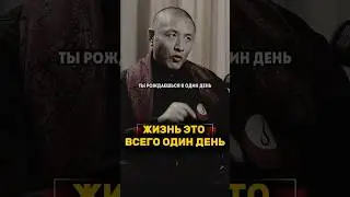 Жизнь это всего один день