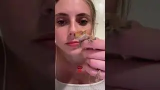 POV Ты сверчок, а Митбол только что встретился с тобой взглядом 👁️🍝☄️&bull;&bull;&bull;&bull;&bull;&bull;&bull;&bull;&bull;&bull;#хамелеон #рептили...