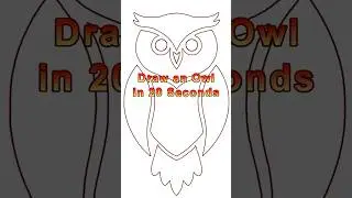 Draw an Owl in 20 Seconds #drawing #visualasmr #art #notalkingasmr #asmrart #animalart #draw