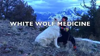 WHITE WOLF MEDICINE SPIRIT - Paradise Valley, Montana March 29 2019