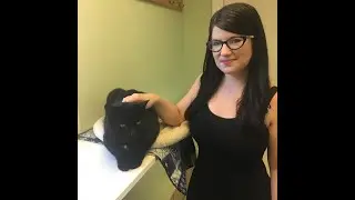Meet Anthony, a lucky black cat at Parma Animal Shelter waiting for his forever home
