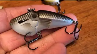 Biospawn Rattlebot review, it catches Bass!