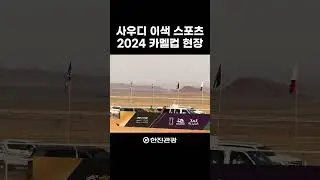 #VLOG 중동 최대 스포츠 직관✨2024 ALUla Camel Cup 생생 후기 #travel #alula #camelcup
