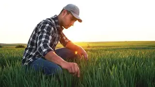 Peaceful Acoustic Folk Music Video / ASMR / Wholesome Farm Life / &ldquo;Back Porch Symphony&rdquo; Will Dwine