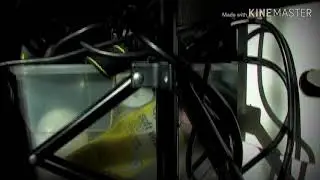 Canon XL2 Test Footage 002