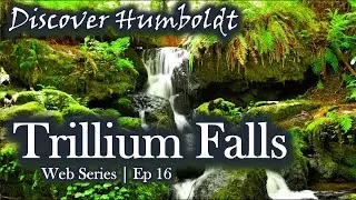 Discover Humboldt: Trillium Falls - Orick, California | Ep 16
