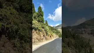 Road trip towards east Sikkim #roadtrip #eastsikkim #short #beautifulnature
