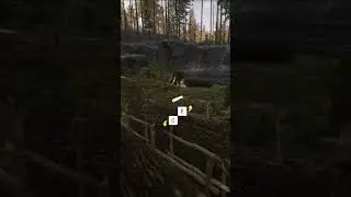 BEST Dupe Glitch In SONS OF THE FOREST! | Patch 04