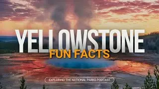 12: Yellowstone Fun Facts