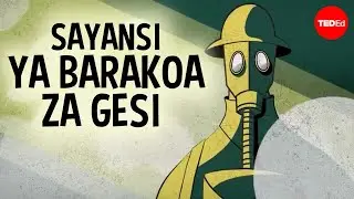 Je, barakoa za gesi hufanyaje kazi? - George Zaidan