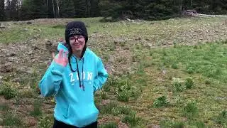 Exploring fish lake national forest