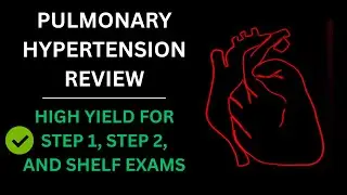 Pulmonary Hypertension High-Yield for Step 1/2