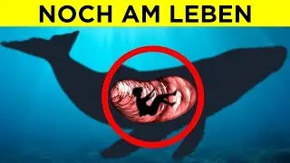 Unglaubliche Orte, An Denen Menschen Gefunden Wurden [Teil 2]