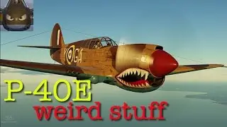 War Thunder SIM -P40 E1- Something Strange Is Going On