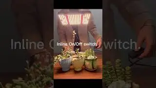 2023 Top1 Best Grow Lights for Indoor Plants