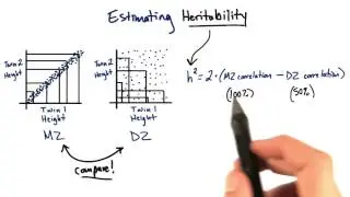 Heritability Calculation - Tales from the Genome