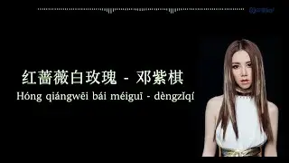 红蔷薇白玫瑰（EYES, NOSE, LIPS Cover）  邓紫棋（GEM）  拼音歌词（Pinyin Lyrics）