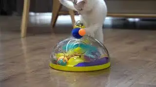 Pet supplies&nbsp;factory &nbsp;dogs product&nbsp;manufacturer dog toys&nbsp;cat toy Pets products&nbsp;manufacturers GL11679