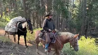 13 ноября 2025 г. Adventure with Friends, Day 3, Relaxing #travelvlog #travel #nature #usa #pct 