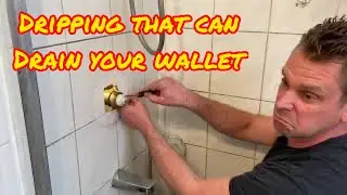 Water Damage Inspection Royalty Home Improvements Indianapolis Contractor Advice DIY leaking house