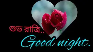 Good Night sorry |Sorry good night Messages for her | Sorry status video | Sorry good night messages