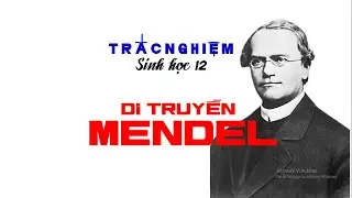 DI TRUYỀN MENDEL & MỞ RỘNG HỌC THUYẾT MENDEL | TRẮC NGHIỆM CƠ BẢN