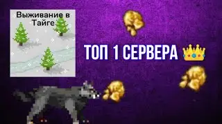 Desert Pixel Online ОБНОВЛЕНИЕ + ТОП 1 СЕРВЕРА 🔥