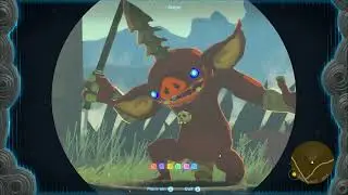chilling with bokoblins