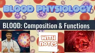 Blood : composition and functions | Blood physiology part 1 | mbbs 1st year | with notes | explained