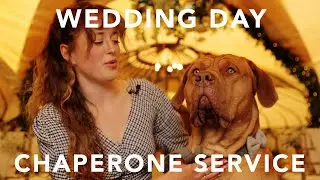 Wedding Day Dog Chaperone Service