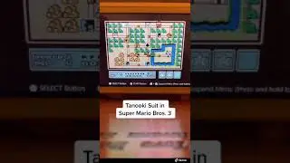 Вы когда-нибудь получали костюм Тануки в Super Mario Bros 3?