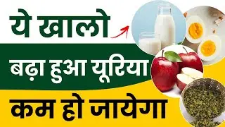 ये खालो बढ़ा हुआ यूरिया कम हो जायेगा | Diet to Reduce High Urea Level | kidney treatment in Ayurveda