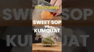 The Freeze Challenge | Sweet Sop vs Kumquat | Satisfying Frozen Fruit Cutting ASMR #asmrsounds