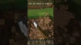 person with OCD plays minecraft #shorts