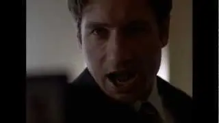 Special Agent Mulder - F.B.I.