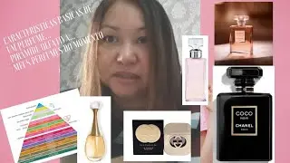 Caracter&iacute;sticas de Perfume, Pir&acirc;mide Olfativa , Meus Perfumes do Momento.