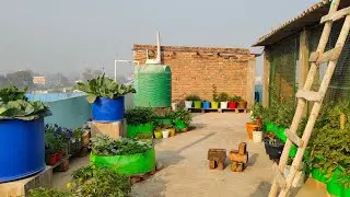 Farming on roof chhat pe krishi kaise hota hai #farming 