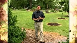 June Gardening Tips
