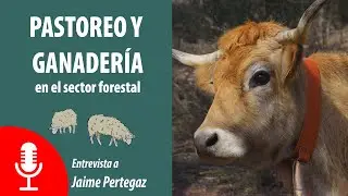 Pastoreo y ganadería en el sector forestal