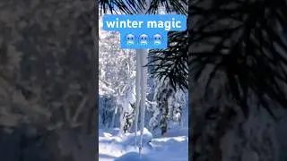 Cold.. but beautiful😍 #shorts #shortsfeed #snowvibes #snow #snowfall #ytshorts
