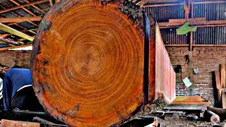 Wait Until You See This Giant Tree Log Get Cut || Lumber Mill