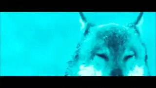Dale Oliver-Force Of Nature (UnOfficial Video)