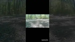 #loop #wheelsinmud #offroadvehicle #sxs #offroading #cfmoto #zforce #4x4offroad #4x4 #4x4offroading
