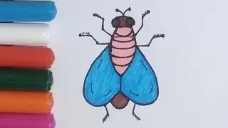 House fly Drawing Step By Step|| Drawing And Colouring Video||