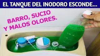 🌟 NO cometas el ERROR de olvidarte del  TANQUE DEL INODORO,  después  te costará mas trabajo.