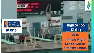 2015 Illinois High School State Diving Championships - Mens 1 Meter Springboard Diving